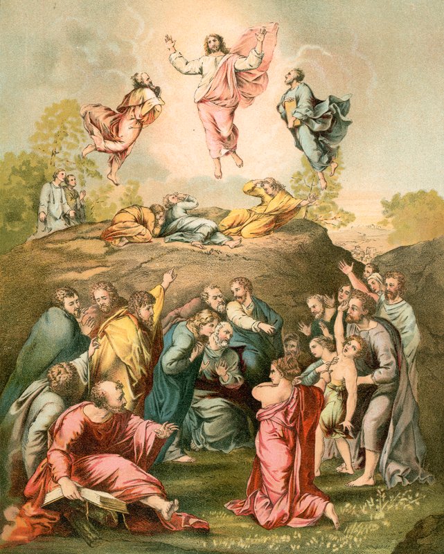 变形 作者 拉斐尔（Raffaello Sanzio Raphael）