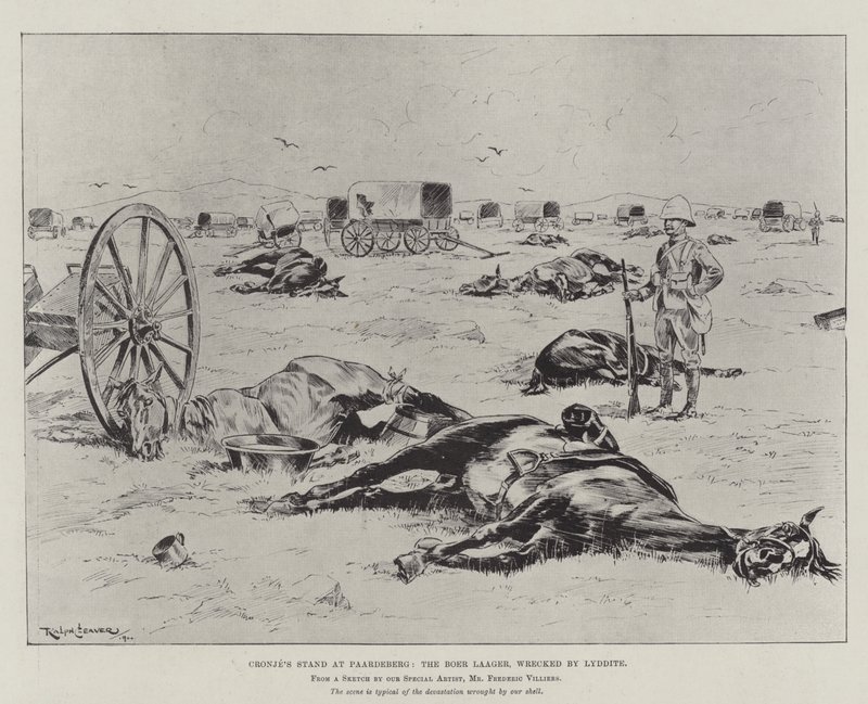 Lrondite破坏了Cronje在Paardeberg的看台，Boer Laager 作者 拉尔夫·切弗