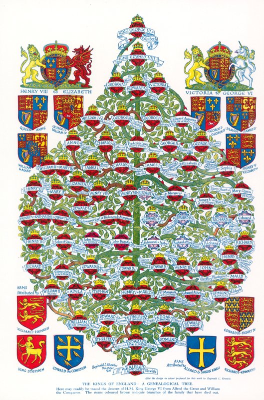 英格兰国王，家谱树（彩色印刷版） 作者 雷金纳德和霍勒斯 (1884-1954) 诺尔斯
