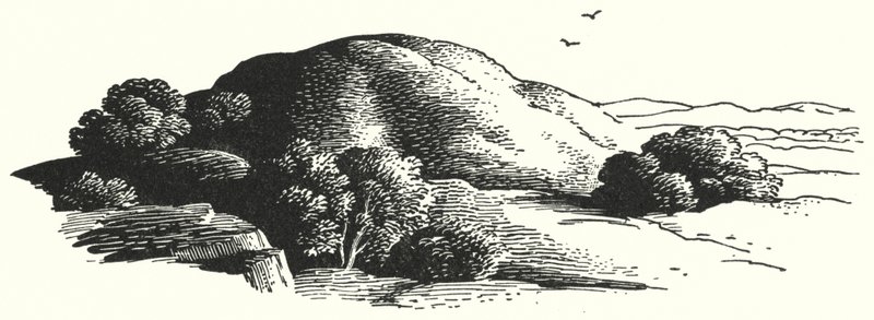 汉斯·克里斯蒂安·安徒生：小精灵山（石版画） 作者 雷克斯（后）惠斯勒
