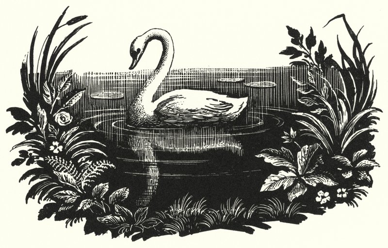 Hans Christian Andersen: The Ugly Duckling (litho) 作者 雷克斯（后）惠斯勒