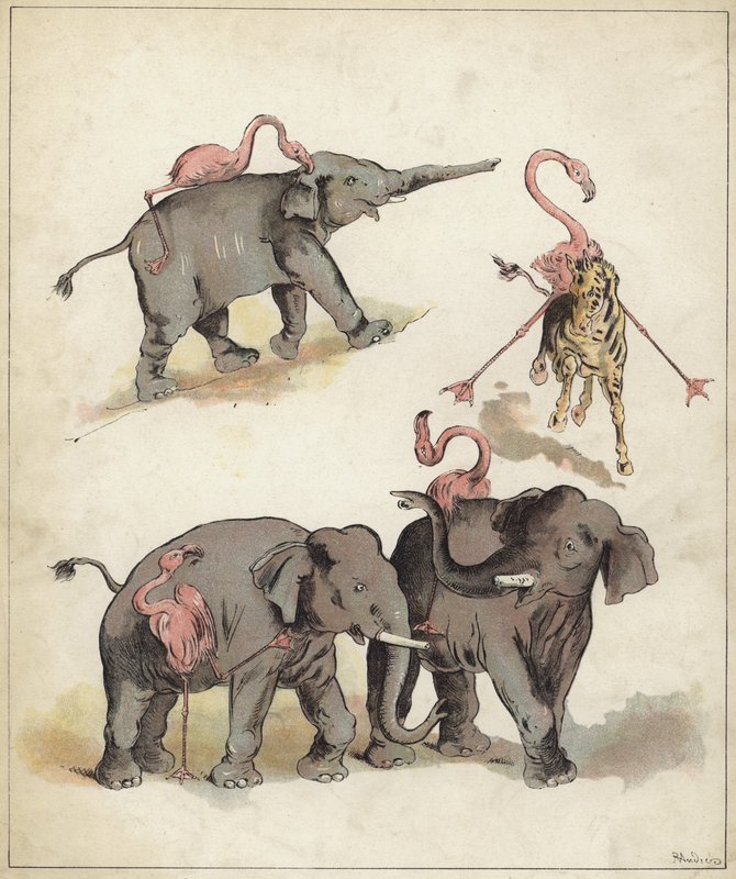 大象和火烈鸟（chromolitho） 作者 理查德·安德烈
