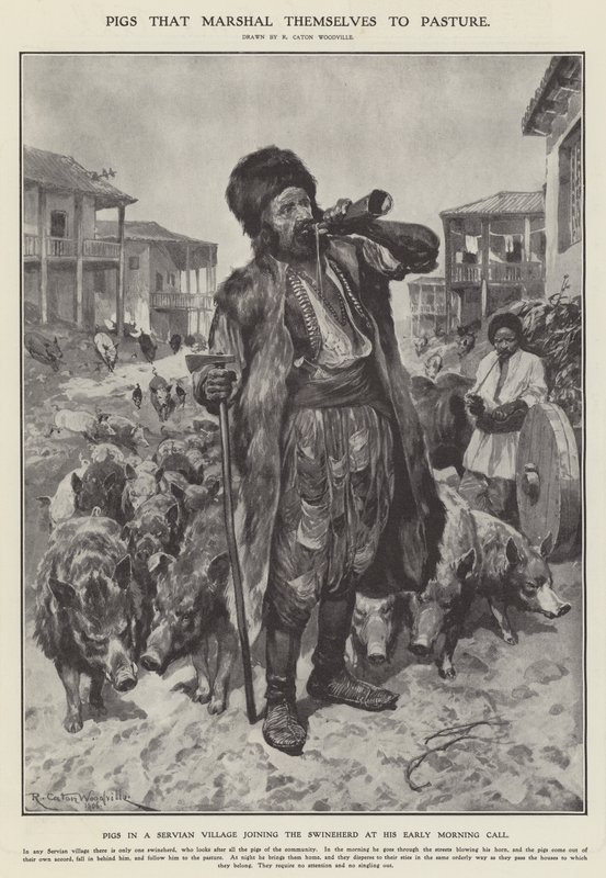 Pigs that marshal themselves to pasture (litho) 作者 理查德·卡顿二世（之后）伍德维尔
