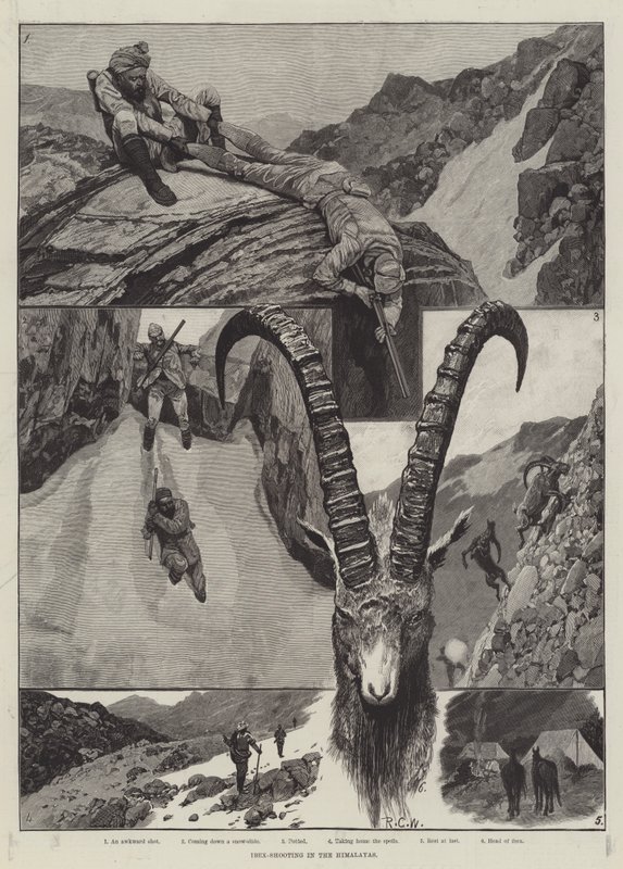 Ibex-Shooting在喜马拉雅山雕刻 作者 理查德·卡顿·伍德维尔初级