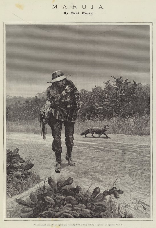 Maruja，Bret Harte 作者 理查德·卡顿·伍德维尔初级