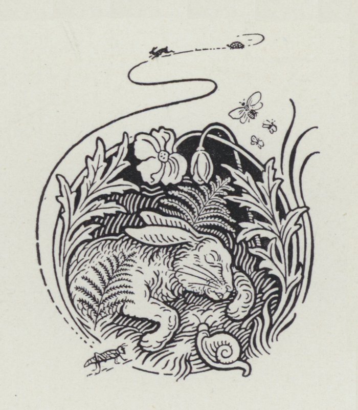 The Hare And The Tortoise (engraving) 作者 理查德·海威