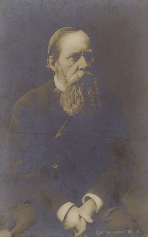 Mikhail Saltykov-Shchedrin，俄罗斯作家和讽刺作家 作者 俄罗斯摄影师