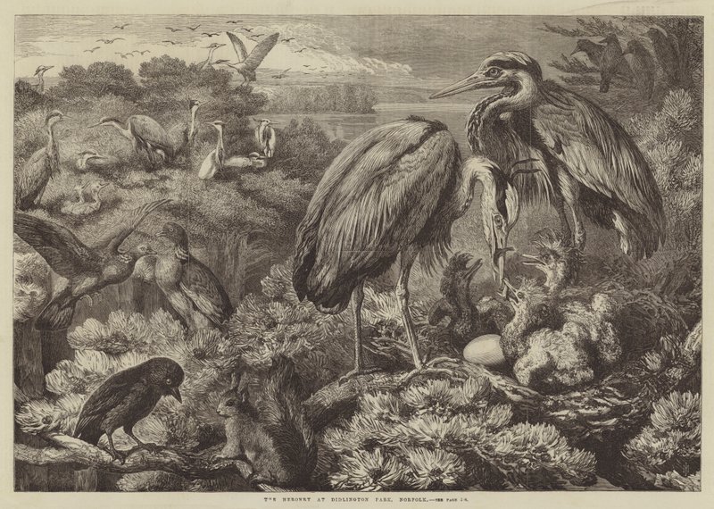 诺福克郡迪丁顿公园的Heronry 作者 塞缪尔·约翰·卡特