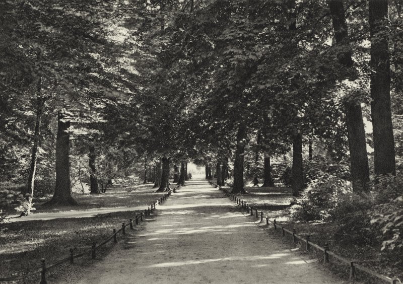 Berlin: Tiergarten (b/w photo) 作者 萨沙·斯通（Sasha Stone）