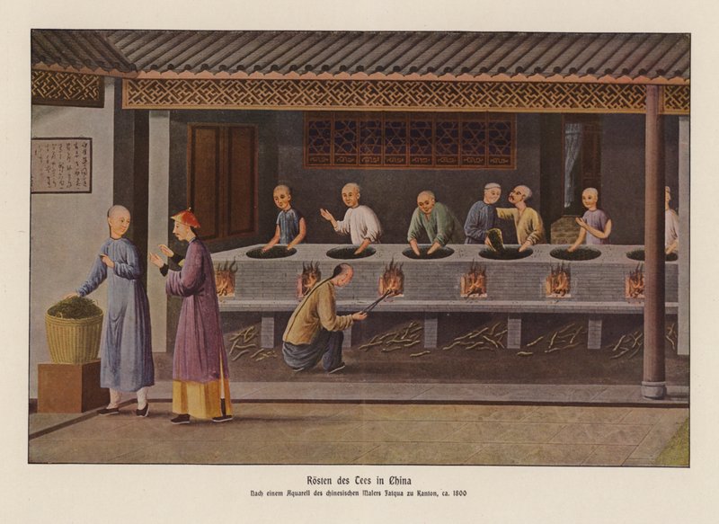 中国的烤茶（彩色平版） 作者 学校中文