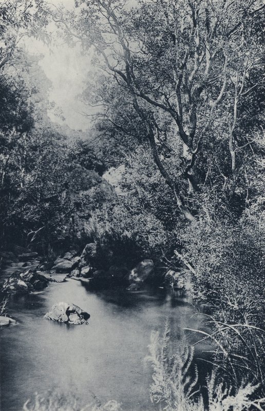 A Fairy Scene, near Witpoortje (b/w photo) 作者 南非摄影师