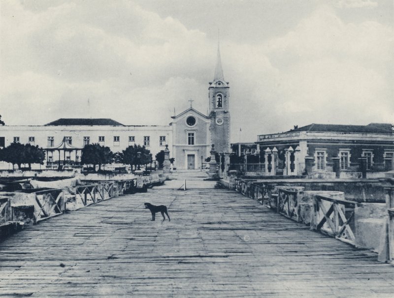 A Link with the Old World, Mozambique (b/w photo) 作者 南非摄影师