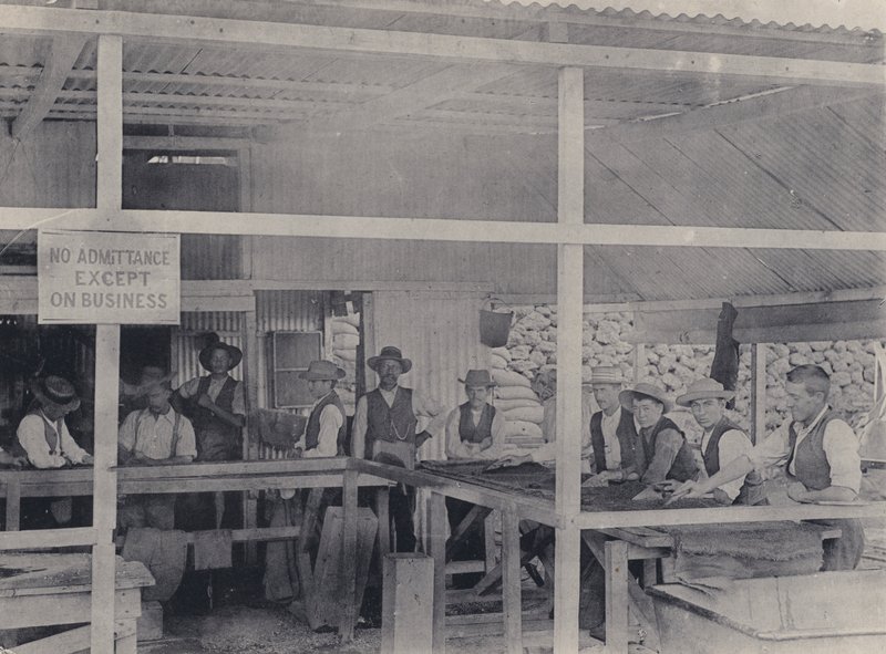Diamond Sorting, Wesselton Mine (b/w photo) 作者 南非摄影师