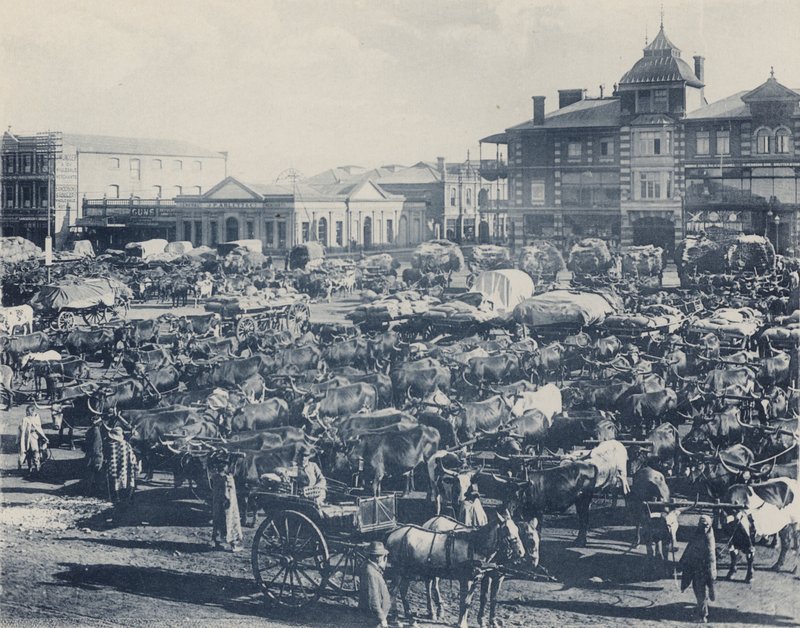 Early Morning Market (b/w photo) 作者 南非摄影师