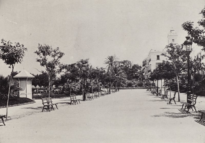 加的斯：Alameda de Apodaca（黑白照片）。 作者 西班牙摄影师