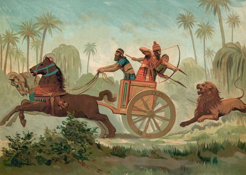 Ashurbanipal狩猎狮子 作者 西班牙语学校