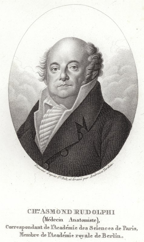 Karl Asmund Rudolphi 作者 瑞典学校