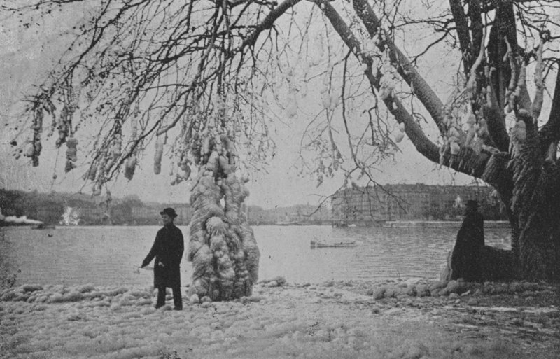 Aux Eaux-Vives a Geneve, Hiver 1896 (b/w photo) 作者 瑞士摄影师