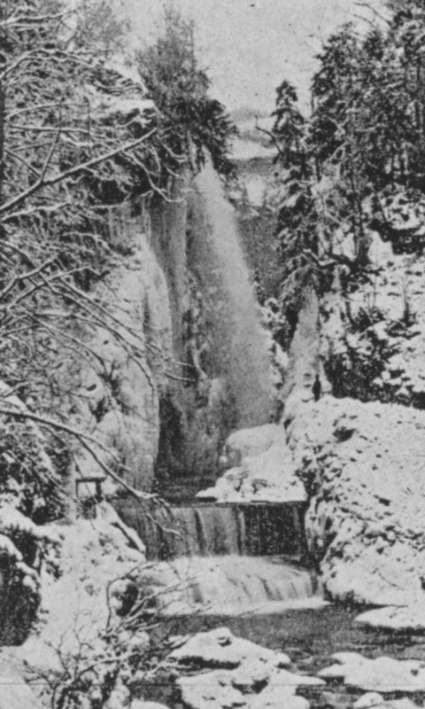 Les Corges du Taubenloch, pres Bienne en hiver (b/w photo) 作者 瑞士摄影师