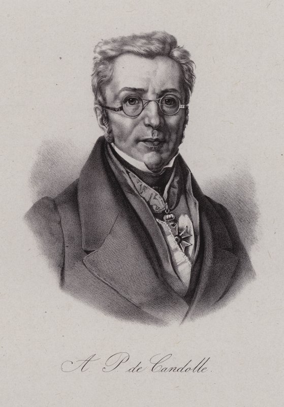 Augustin Pyramus de Candolle，瑞士植物学家（雕刻） 作者 瑞士学校