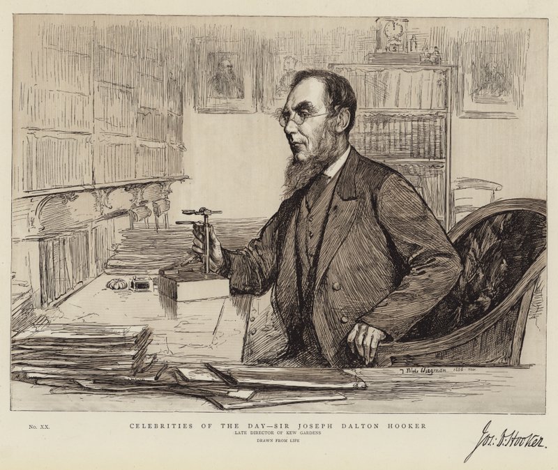 当天的名人，Joseph Dalton Hooker爵士 作者 西奥多·布莱克·威格曼