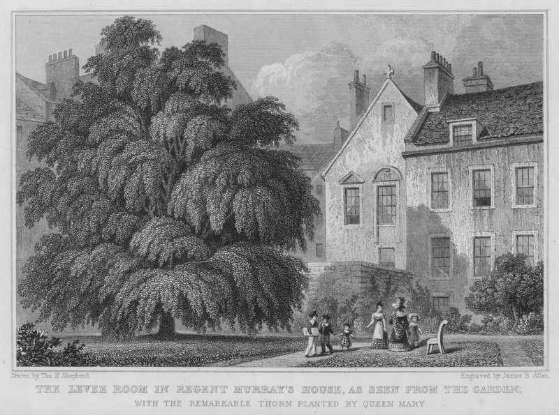 The Levee Room in Regent Murray