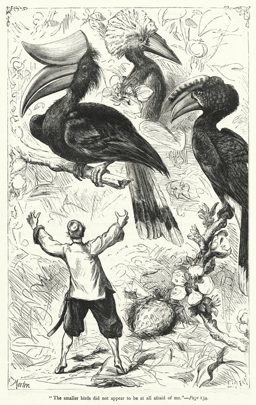 Illustration for Gullivers Travels by Jonathan Swift (engraving) 作者 托马斯·莫顿