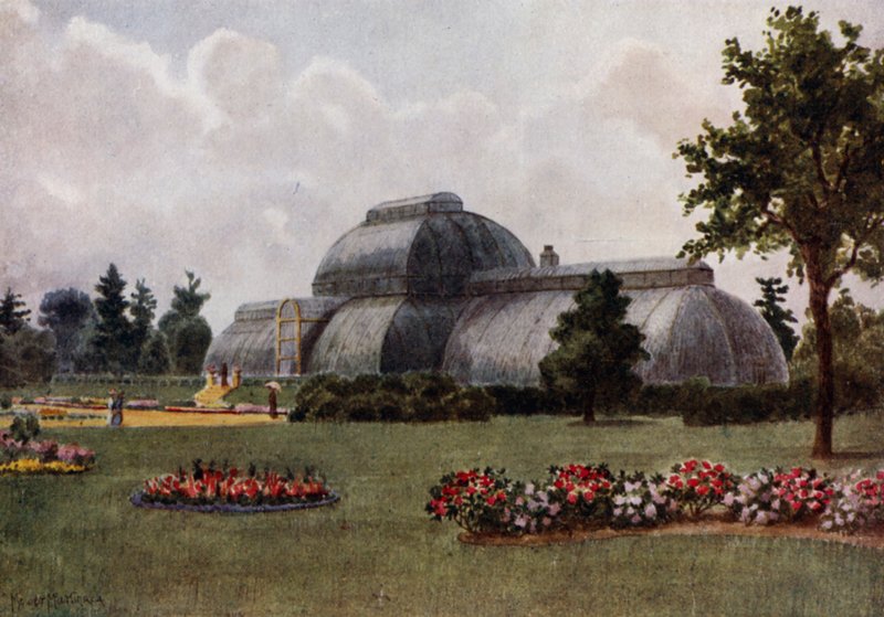 Kew Gardens: The Palm House (colour litho) 作者 托马斯·莫尔·马丁