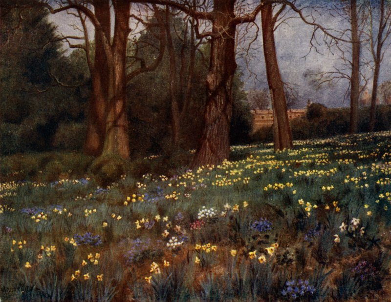 Kew Gardens: The Wild Garden in Spring (colour litho) 作者 托马斯·莫尔·马丁