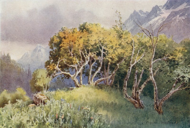Sind Valley，Sonamarg，露营地上方 作者 未知未知