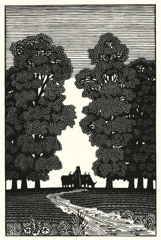 Illustration for Tess Of The DUrbervilles by Thomas Hardy (engraving) 作者 薇薇安·格里布尔