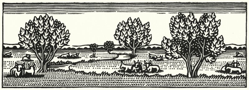 Illustration for Tess Of The DUrbervilles by Thomas Hardy (engraving) 作者 薇薇安·格里布尔