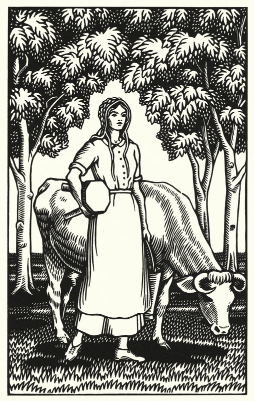 Illustration for Tess Of The DUrbervilles by Thomas Hardy (engraving) 作者 薇薇安·格里布尔