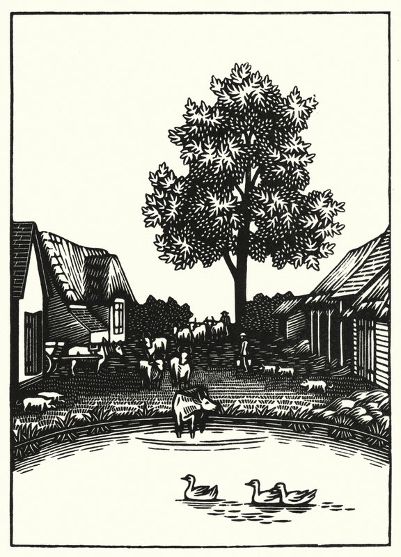 Illustration for Tess Of The DUrbervilles by Thomas Hardy (engraving) 作者 薇薇安·格里布尔
