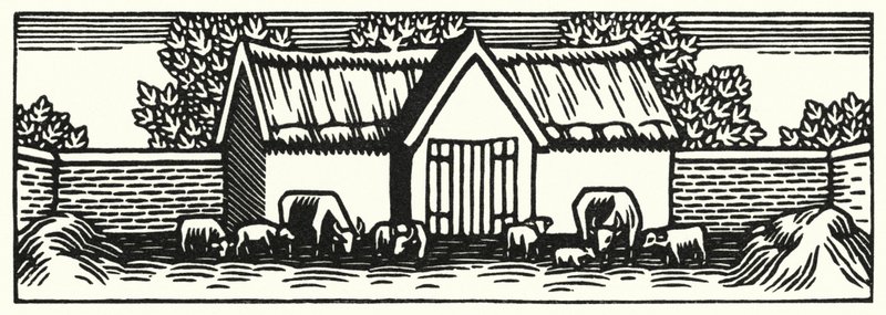 Illustration for Tess Of The DUrbervilles by Thomas Hardy (engraving) 作者 薇薇安·格里布尔