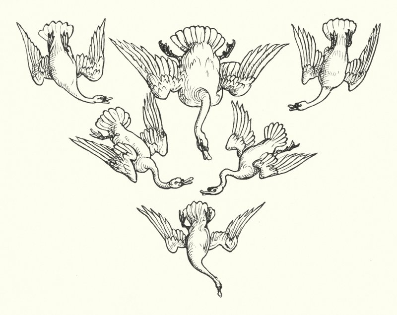 六只天鹅（雕版画 作者 沃尔特（后）起重机