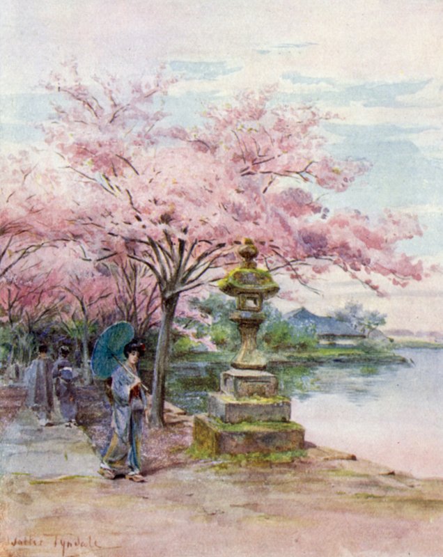 樱花和石灯笼，上野公园 作者 沃尔特·弗雷德里克·屋顶·廷代尔