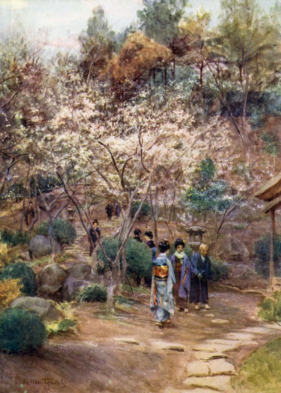 在热海的梅花树 作者 沃尔特·弗雷德里克·屋顶·廷代尔