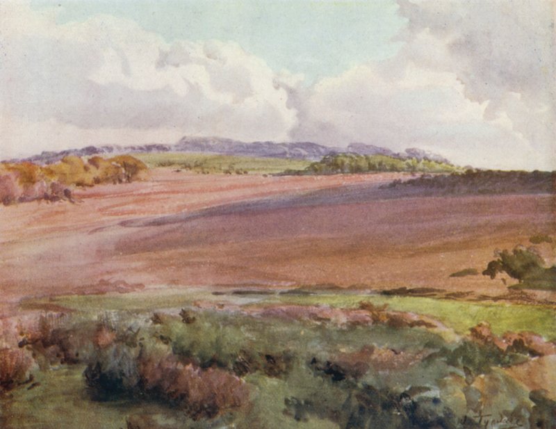 The New Forest: Across Malwood Walk from the Road to Fritham (colour litho) 作者 沃尔特·弗雷德里克·屋顶·廷代尔