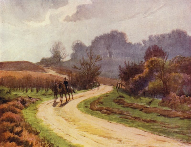 The New Forest: Beaulieu, Lyndhurst (colour litho) 作者 沃尔特·弗雷德里克·屋顶·廷代尔