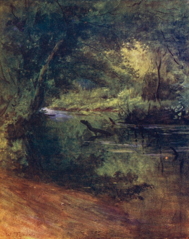 The New Forest: Northgate, near Culverley, in the Lodge Walk (colour litho) 作者 沃尔特·弗雷德里克·屋顶·廷代尔