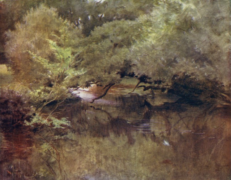 新森林：Boldre 附近 Royden 的 Lymington 河（彩色石版画） 作者 沃尔特·弗雷德里克·屋顶·廷代尔