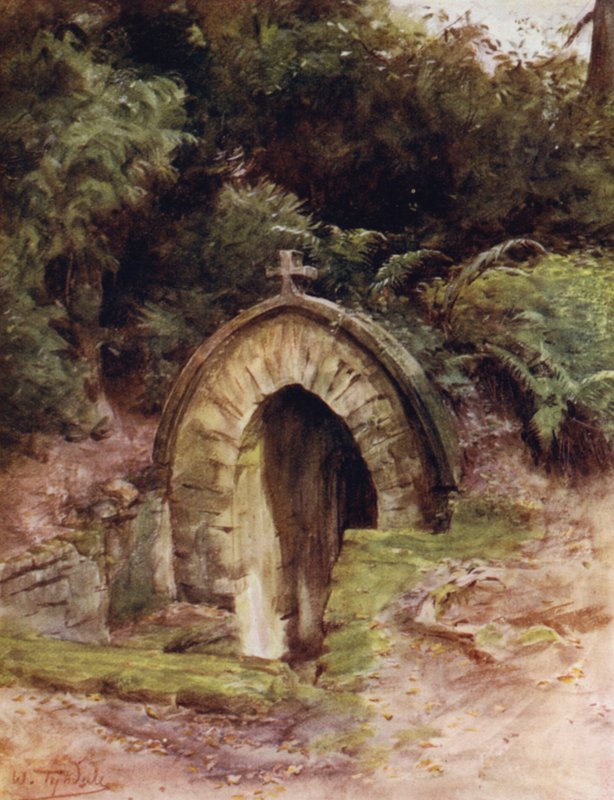 The New Forest: The Monk