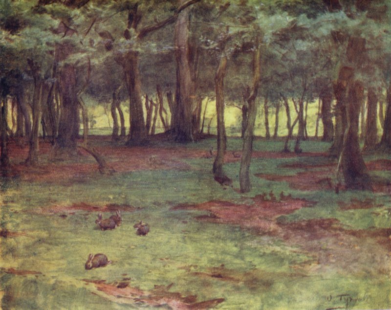 The New Forest: The Woods in Setley Plain (colour litho) 作者 沃尔特·弗雷德里克·屋顶·廷代尔