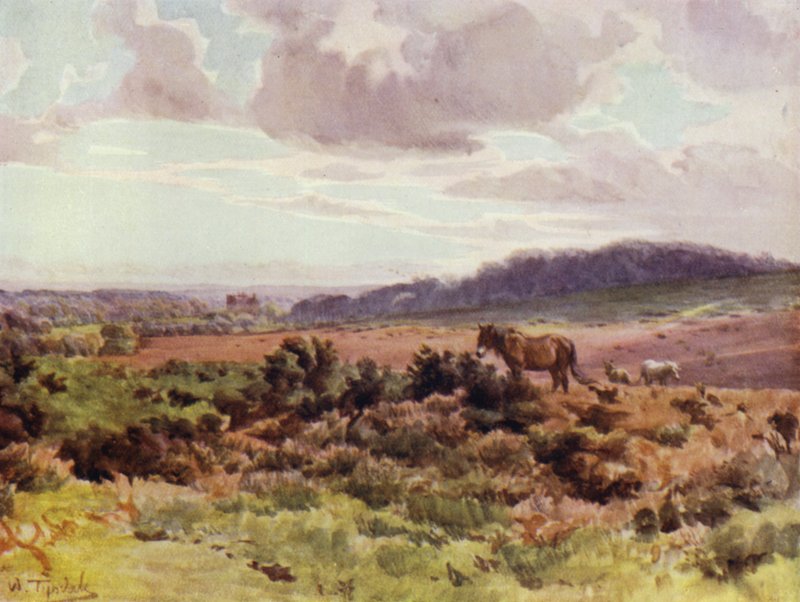 The New Forest: View from Picket Post on Ringwood Road (colour litho) 作者 沃尔特·弗雷德里克·屋顶·廷代尔