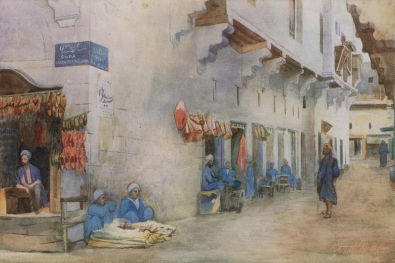 Sharia-el-Kerabiyeh，或水上运输街，开罗 作者 沃尔特·斯潘塞·斯坦霍普·特惠特