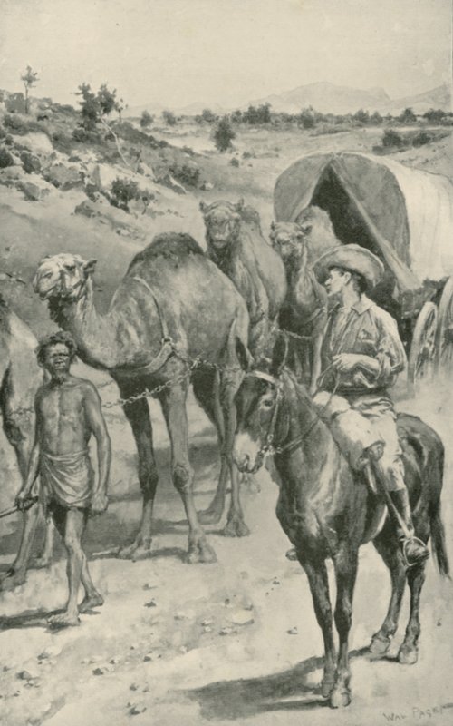 澳大利亚西部的Camel-Caravan 作者 沃尔特·斯坦利·佩吉特