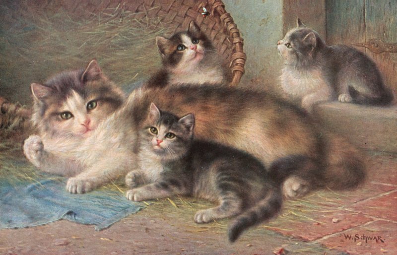 猫明信片（彩色平版） 作者 威廉·施瓦尔