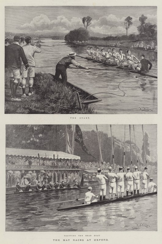 五月在牛津举行的比赛 作者 威廉·巴恩斯（William Barnes）羊毛