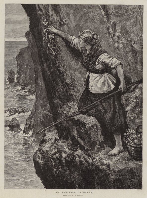 Samphire Gatherer 作者 威廉·巴泽特·默里